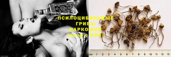 трава Заволжье