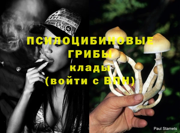 MESCALINE Зеленокумск