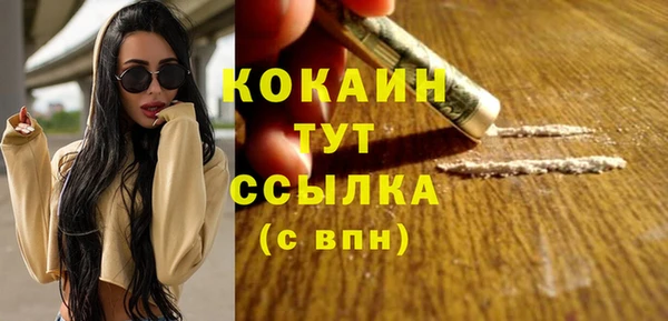 бошки Заводоуковск