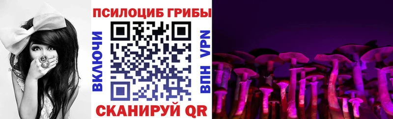 Купить  Невьянск  Галлюциногенные грибы Psilocybe 